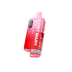 Lost Mary BM6000 Prefilled Pod Vape Kit
